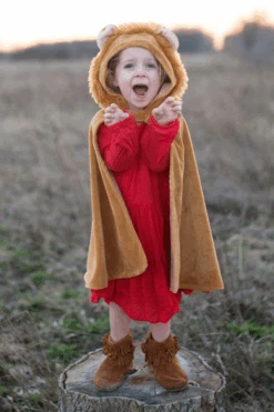 Toddler Lion Cape -Cosplay Costumes Store 1 3bec5ab0 31c5 4496 987e 38909dc2f0ab