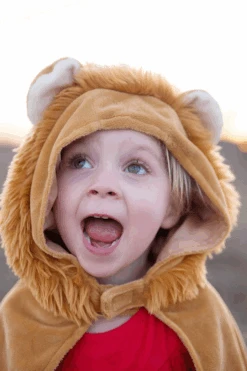 Toddler Lion Cape -Cosplay Costumes Store 2 4e69349f 5ae0 4643 be4a b8d630b5d570