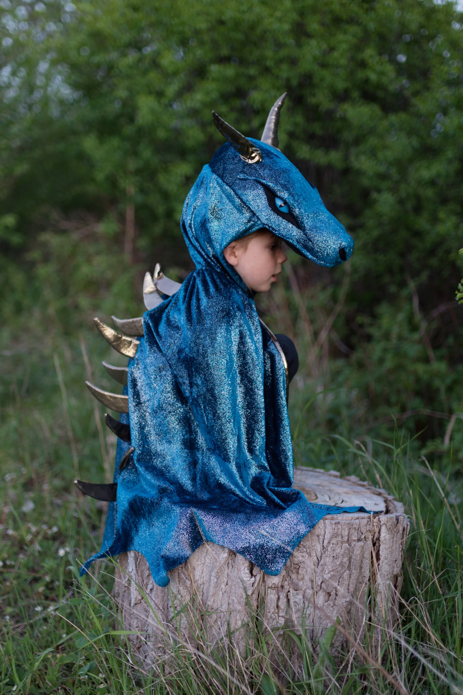Starry Night Dragon Cape 9 Starry Night Dragon Cape - Image 9