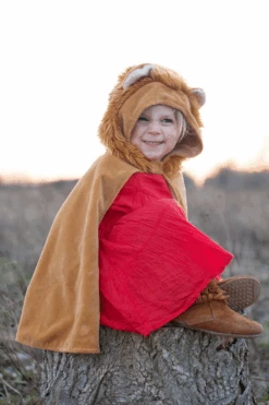 Toddler Lion Cape -Cosplay Costumes Store 4 482a5e6f 2940 4f3a ad57 b106e3b747e1