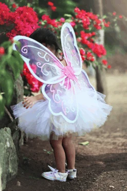 Pink Whimsy Wonder Wings