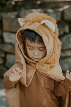Toddler Lion Cape -Cosplay Costumes Store 6 4e53f1d3 82f4 4ea7 a2cd 253341fa447b
