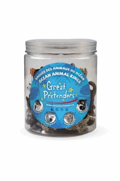 Animal Kingdom: Ocean Rings - 24pc Display