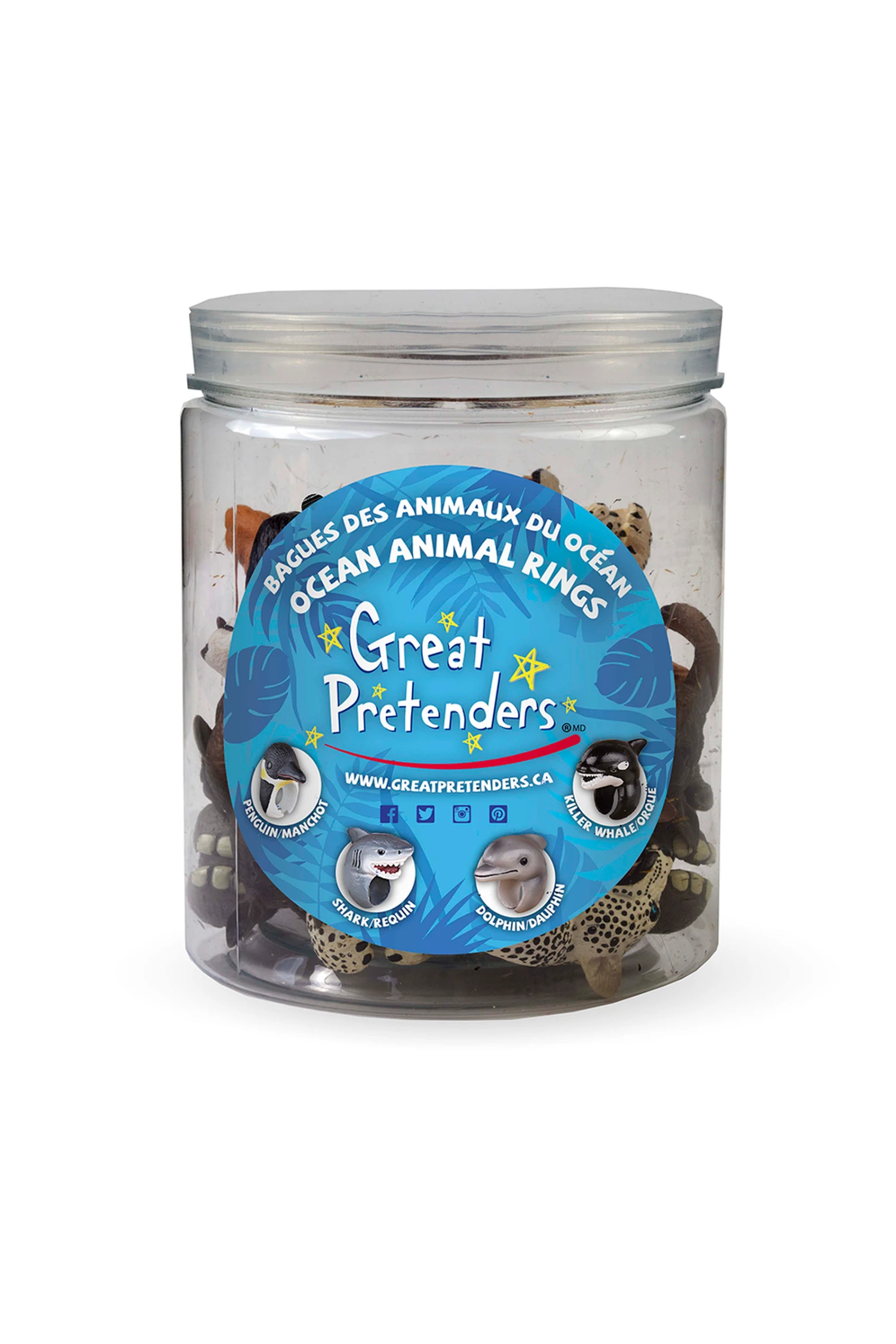 Animal Kingdom: Ocean Rings - 24pc Display 1 Animal Kingdom: Ocean Rings - 24pc Display